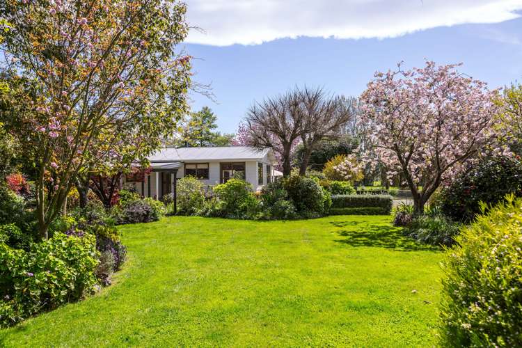 138 Wards Line Greytown_8