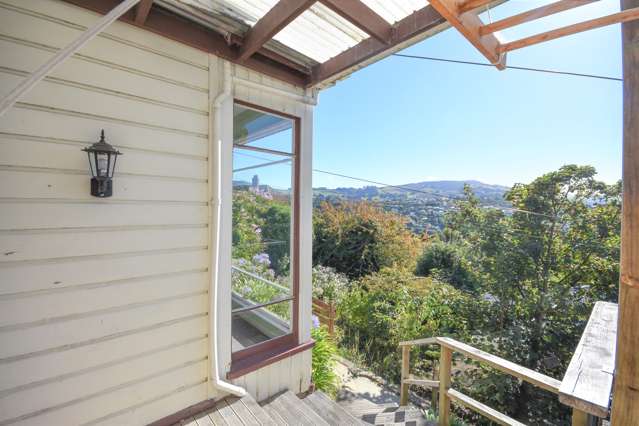 19 Stonelaw Terrace Maori Hill_3