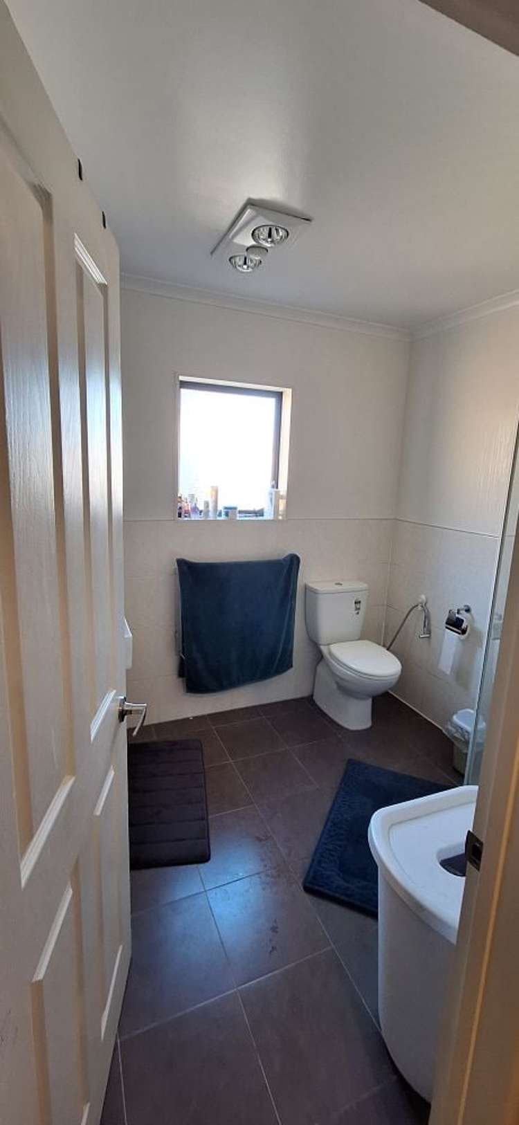 9 Agapanthus Place Flat Bush_7