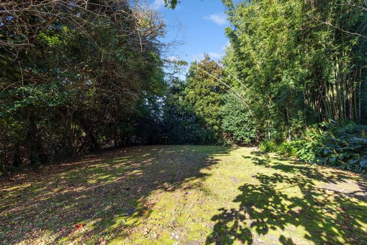 14 Kasper Street Warkworth_7