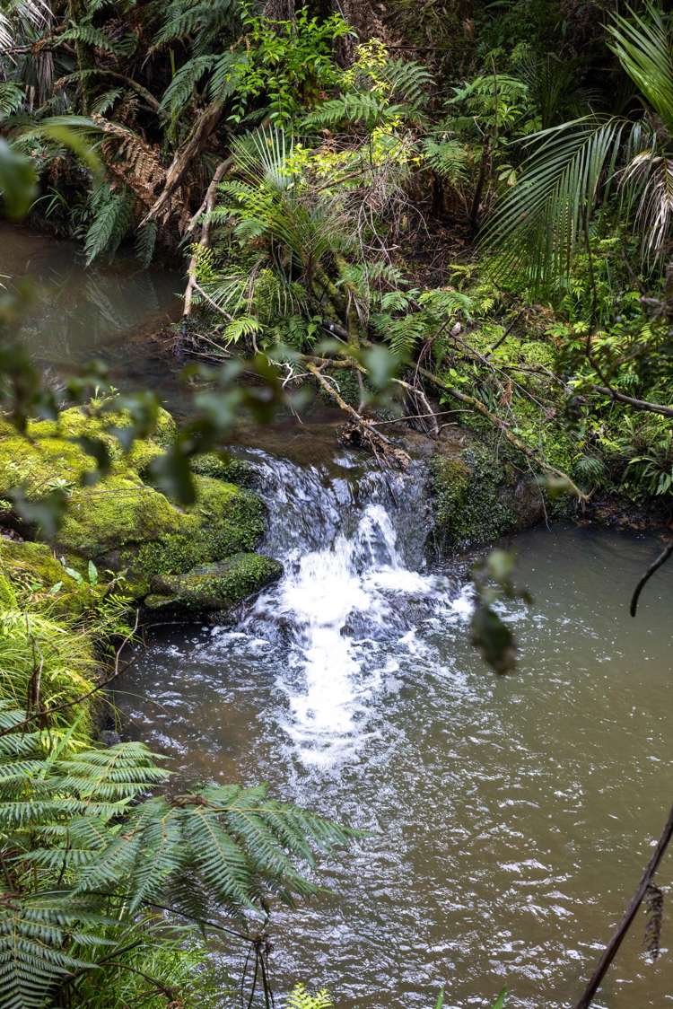 60 Robinson Road Coatesville_18