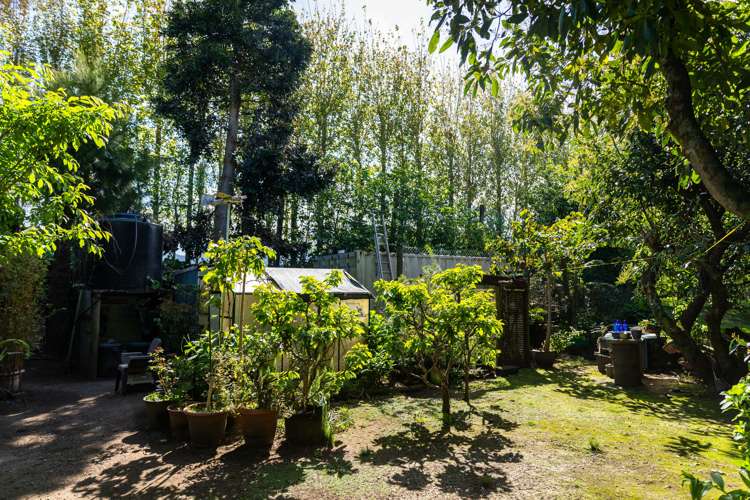 22a Sharp Road Aongatete_15