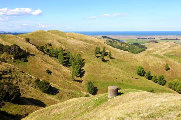 754 Puketitiri Road Puketapu_7