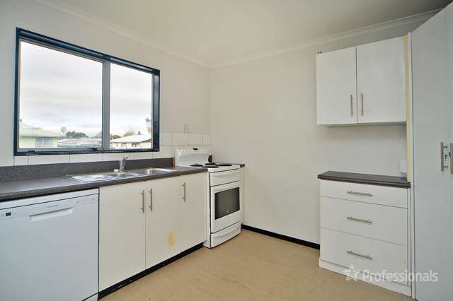 55 Kippenberger Street Masterton_3