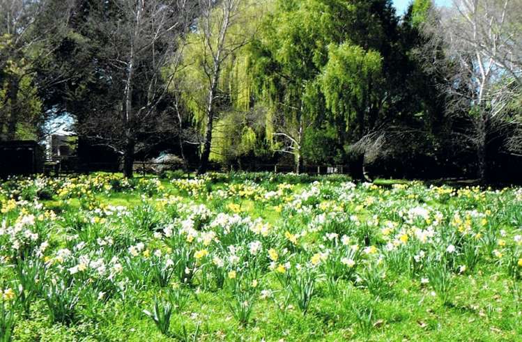 132 Easterbrook Road Fernside_22