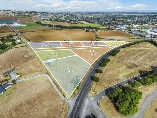 301 Buckland Road Pukekohe_3