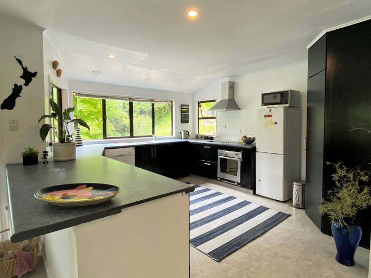 213 Packard Road Kahurangi National Park_6