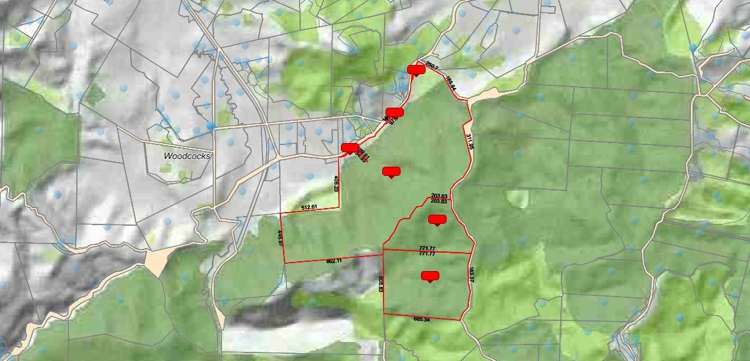 1033-1149 Woodcocks Road Warkworth_2