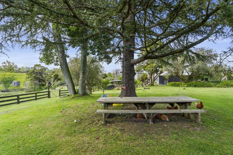 258 Blackbridge Road Dairy Flat_16