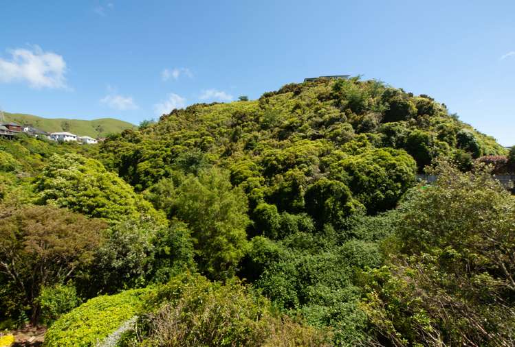 108b Westchester Drive Churton Park_15