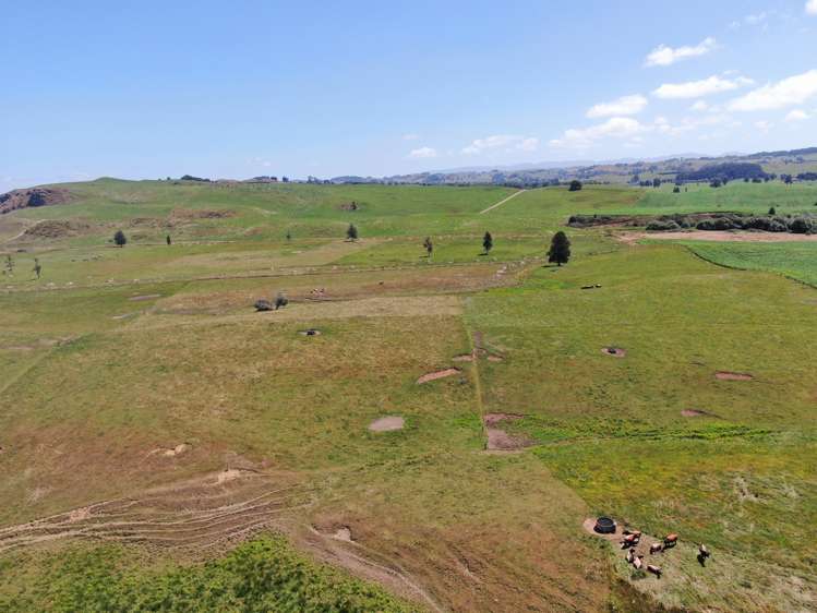 Kahuwera Road Piopio_21