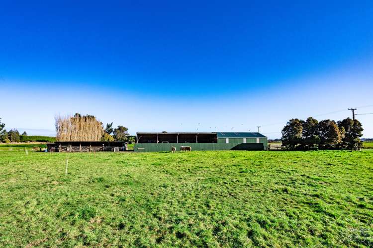 1 McStay Road Rimu_32