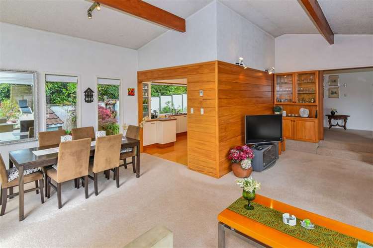 20 Frank Place Hillpark_12