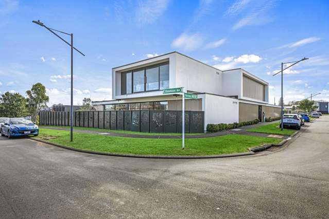 31 Purchas Hill Drive Stonefields_2