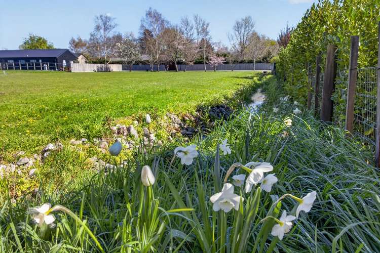 5 Oates Place_5
