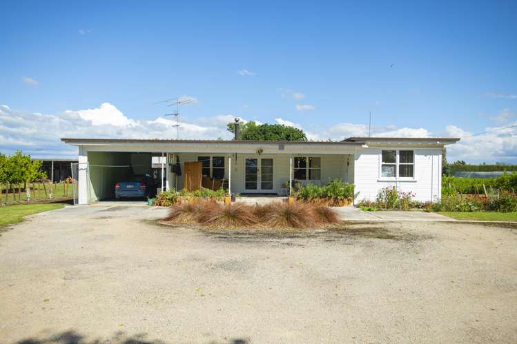 75 Brown Road Ormond_6