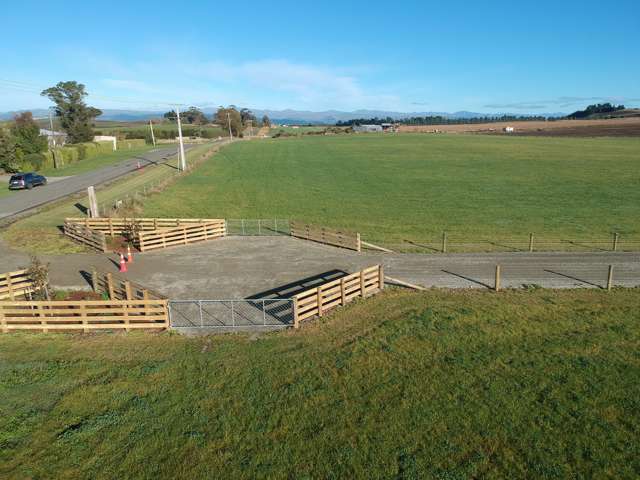 26 Springfield Road Totara_4