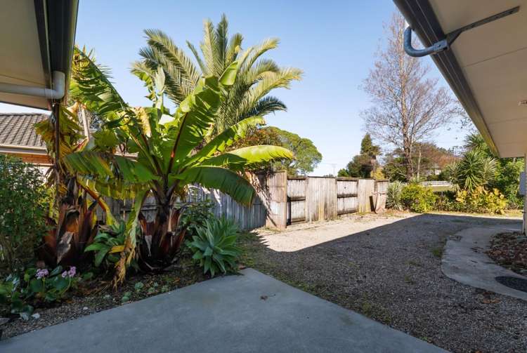 11 Margaret Street Waihi_14