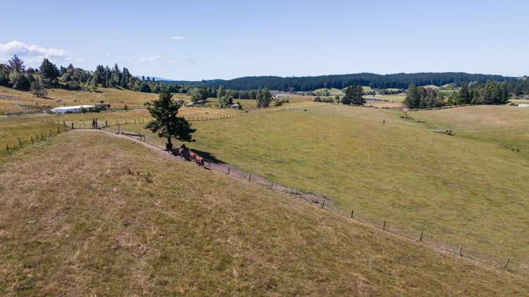 103 George Harvey Road Upper Moutere_6