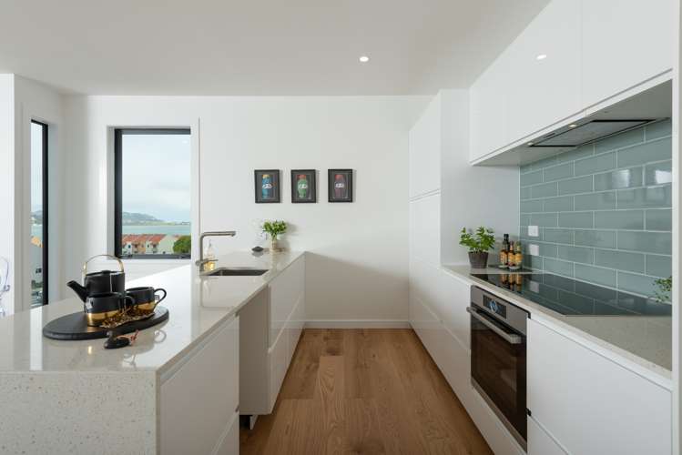 308d Evans Bay Parade Hataitai_4