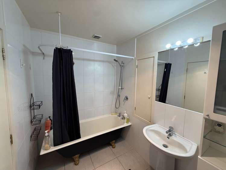 Paterson Street Mt Maunganui_6