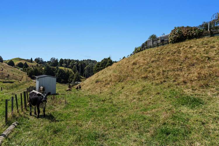 675b Stanley Road Wainui_29