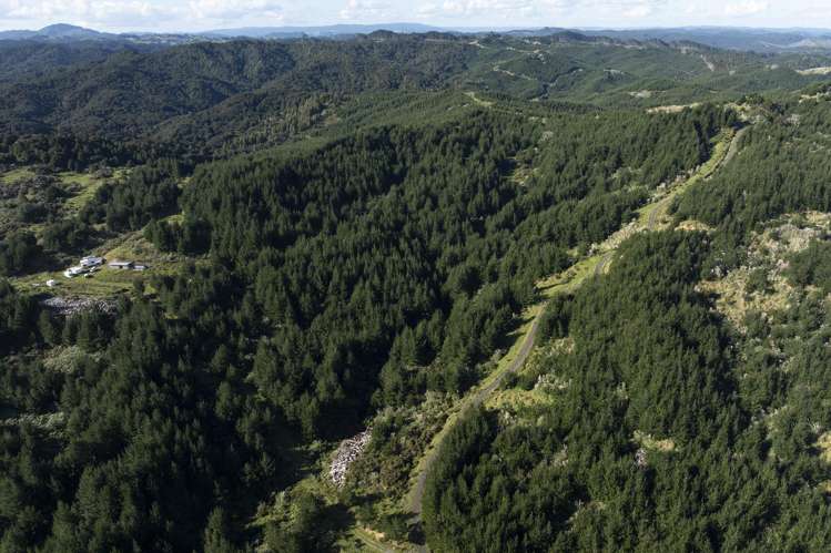 Lot 3 and 4/169 Tunatahi Road Panguru_8