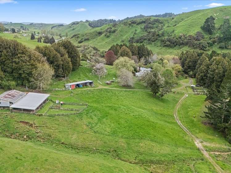 1711 State Highway 4 Aria_18