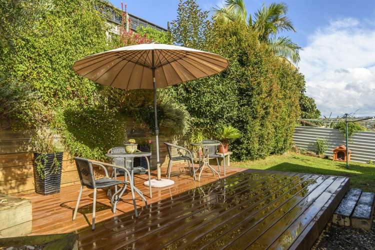 50 Carlisle Street Greerton_16