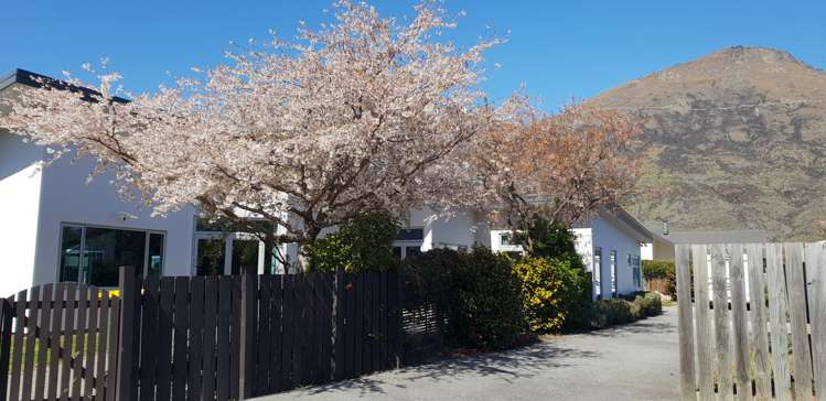 16 Orbell Drive Dalefield/Wakatipu Basin_14