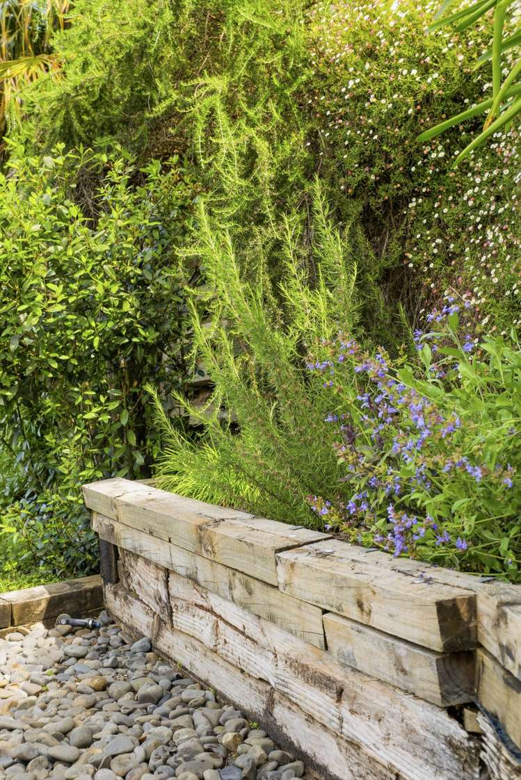 24 Anchorage Grove Maungatapu_55