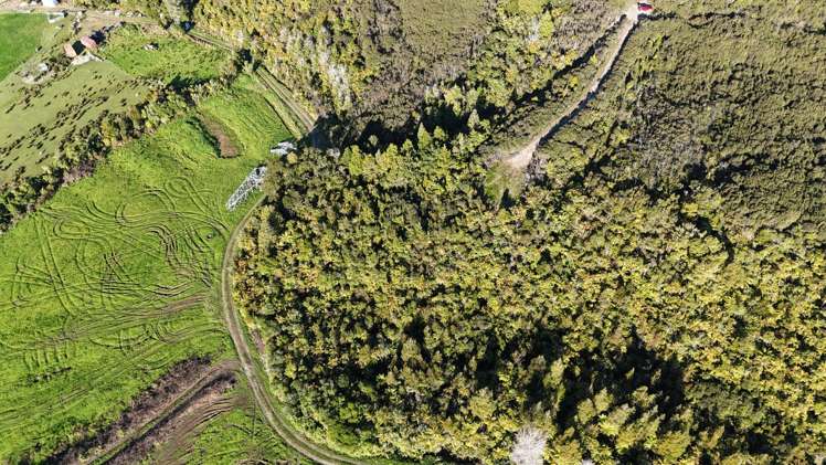 1320A Fairdown Road, State Highway 67 Waimangaroa_21