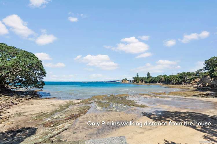 8b Ringwood Street Torbay_17