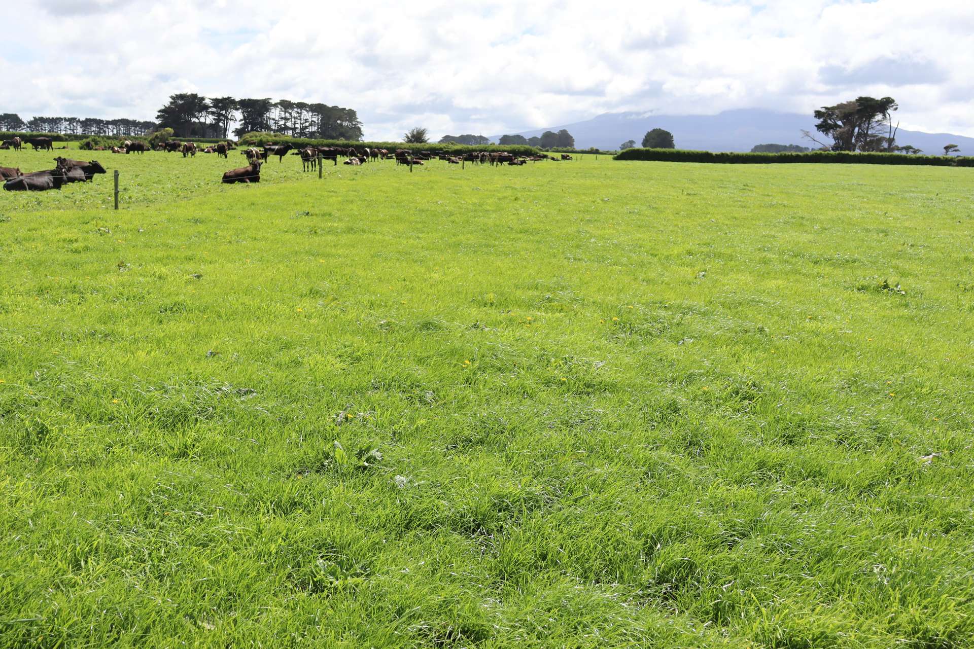 939 Auroa Road Auroa_0