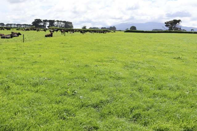 MAGNIFICENT WAIMATE WEST OPPORTUNITY