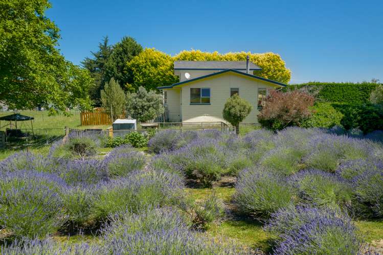 245 Hunter Road Tuamarina_18