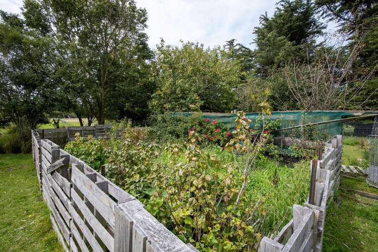 657 Domett Road Domett_26