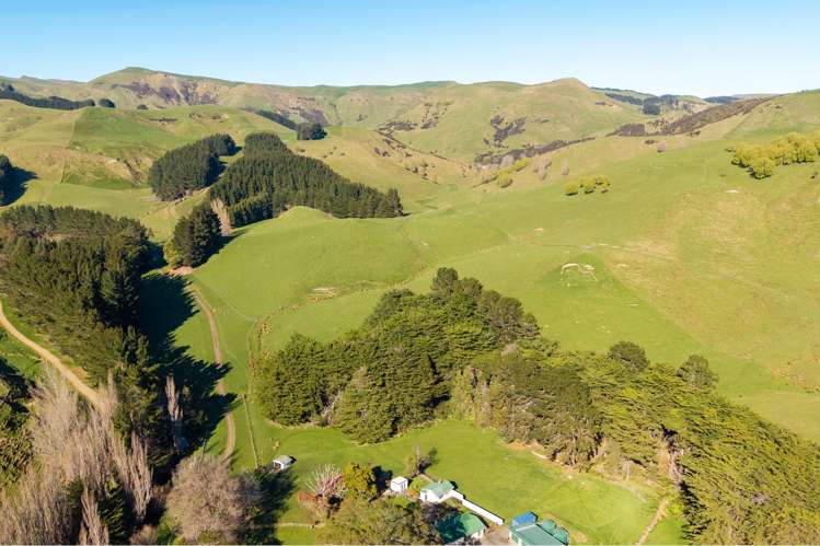 467 Waitahora Valley Road Dannevirke_5