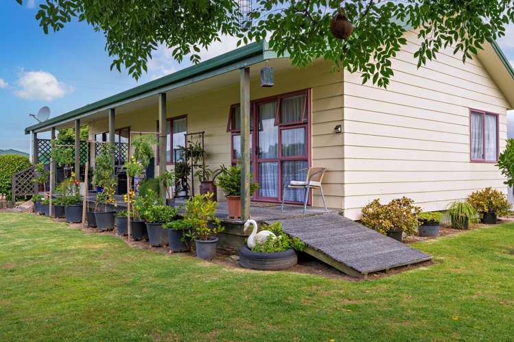 93 Goring Street Opotiki and Surrounds_20