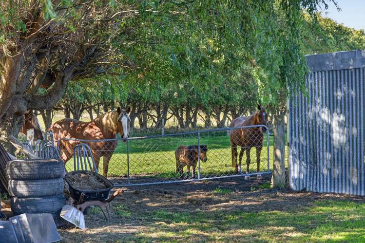 65 Burneys Road Motukarara_35