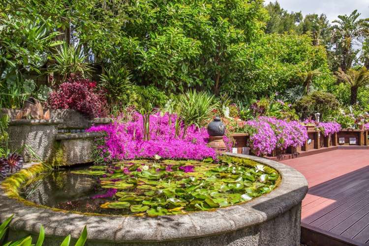 70 Wright Road Dairy Flat_2