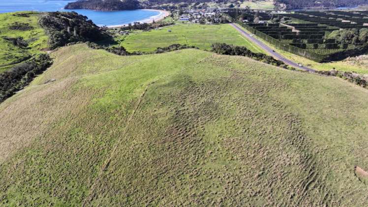 Lot 1 State Highway 10 Taipa_21