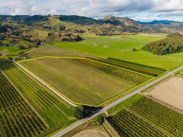 Lot 2/1105 Back Ormond Road Waihirere_1