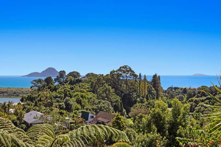 4 Camelia Lane Whakatane_15