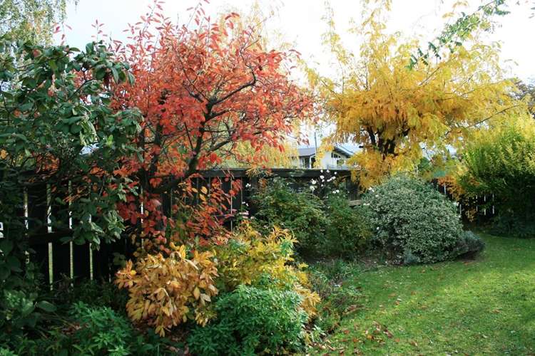 6 Rapuke Street Alexandra_20