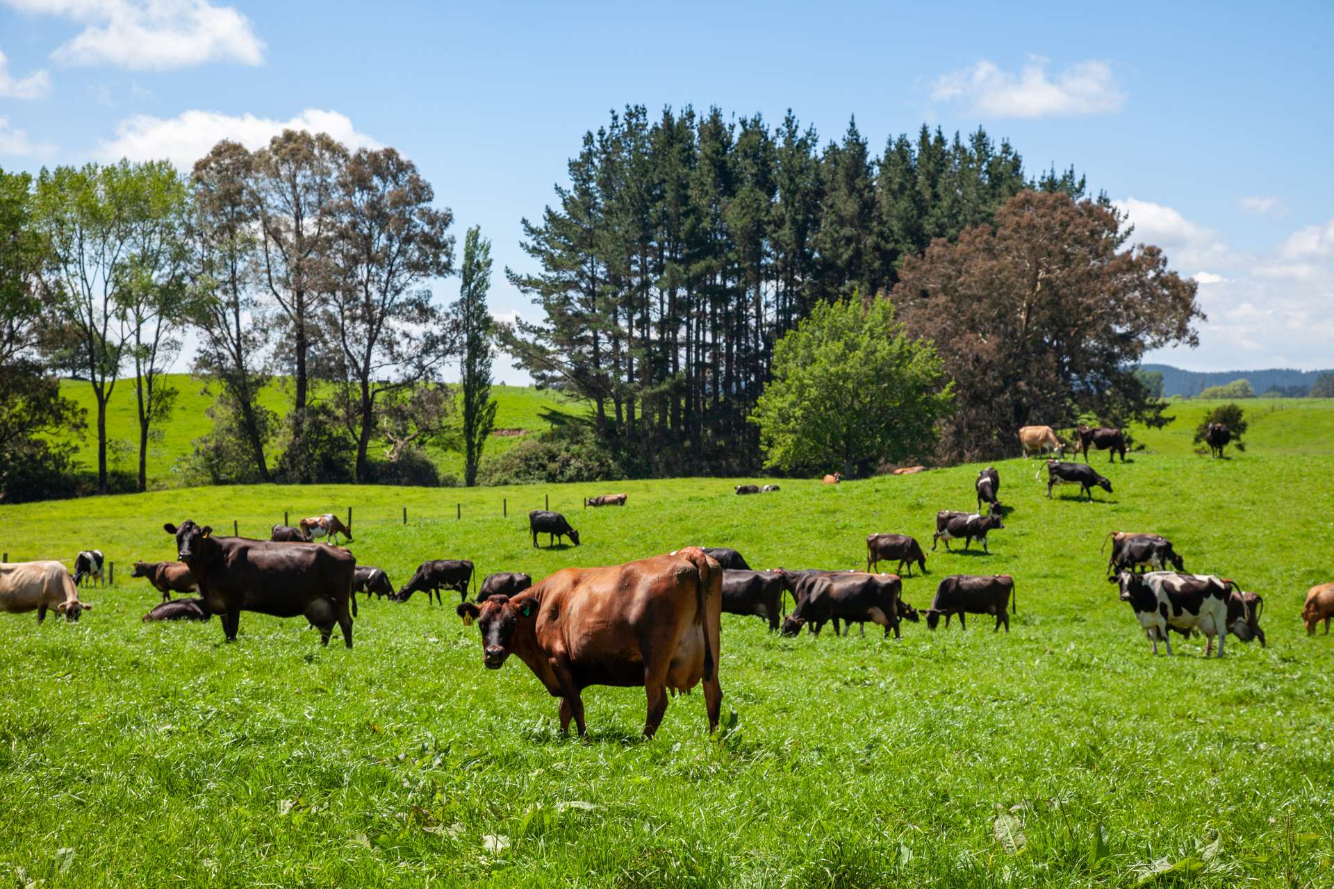 3069 Old Taupo Road Tokoroa_0