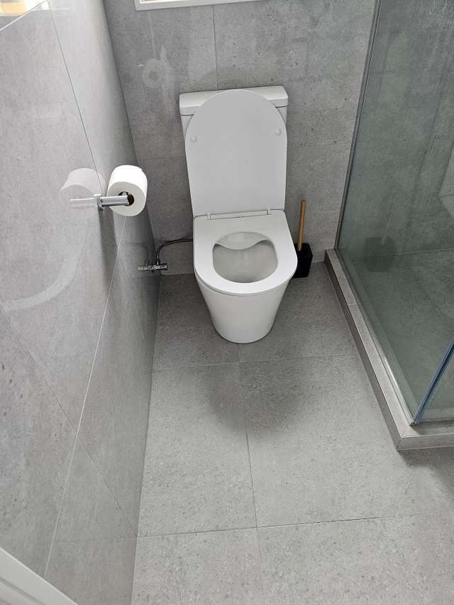 19 Ballyliffin Drive Flat Bush_2