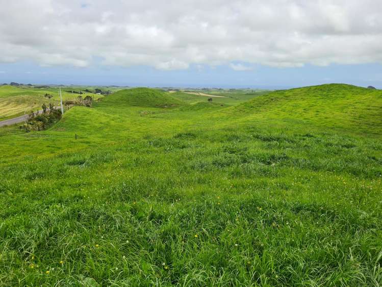 0n Parihaka Road Pungarehu_19