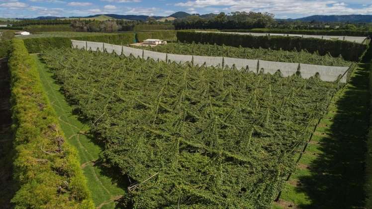 748 No 1 Road Te Puke_6