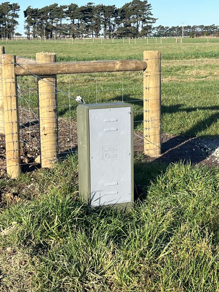 1169 Motu Rimu Road_4